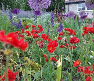 Wedmore House | Huberts,