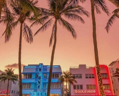 Northeast Miami Apartment | Huge 1 bed newly renovated free parking
