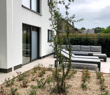 Hasselt House | Huis Vanellus