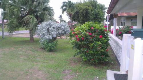 Paramaribo Apartment | Huize Henriette