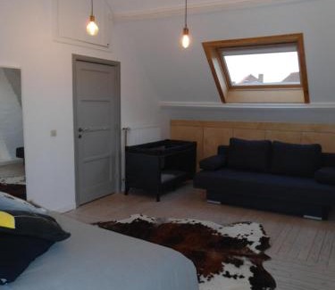 Sint-Andries House | Huize Hertog