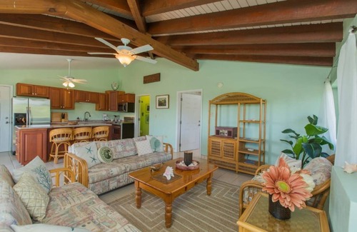 Estate Granard House | Hummingbird Beach Hideaway - all 6 apts & grounds