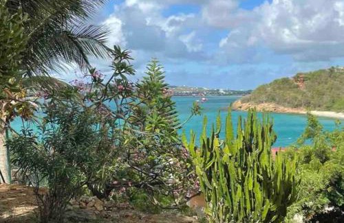 St. John's Villa | Hummingbird Villa