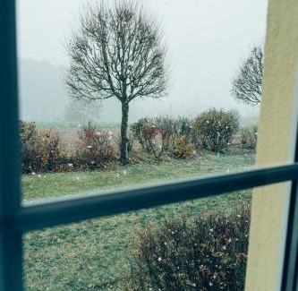 Spalt Apartment | Hundefreundliche Ferienwohnungen Brombachsee