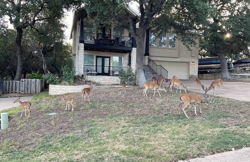 Point Venture House | Hunt Hideaway, charming Lakehouse! Golf Course, Lake Access, Pool, Gym, & more!