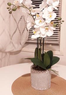 Kokkola Apartment | Huoneisto Pikku Neristan