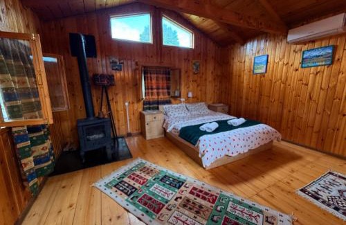 Bagvdanari House | Hut of love