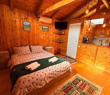 Bagvdanari House | Hut of love