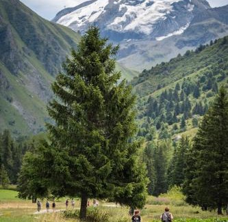 Champagny-en-Vanoise Other | Huttopia Champagny en Vanoise