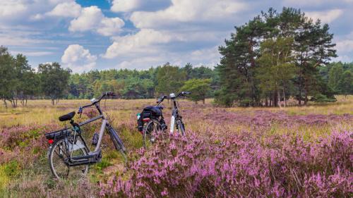 Kootwijk Other | Huttopia De Veluwe