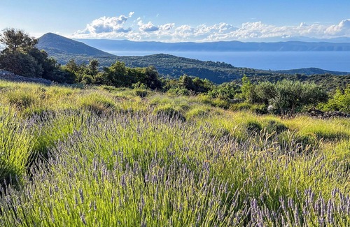 Pokrivenik House | Hvar, Zarace, Cozy house with outdoor kitchen and private terrace with barbecue, 50m from beach