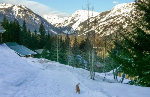 Hyak House | Hyak Duplex Cabin