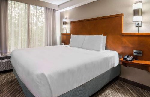 Johns Creek Hotel | Hyatt Place Atlanta Duluth Johns Creek