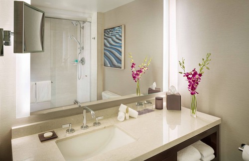 Burlingame Hotel | Hyatt Regency San Francisco Airport