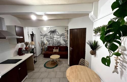 Clemenceau Apartment | Hyper centre - proche Castillet