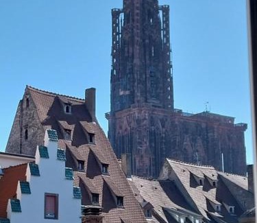 City-Centre - Petite France Apartment | Hypercentre Strasbourg Vue Cathédrale
