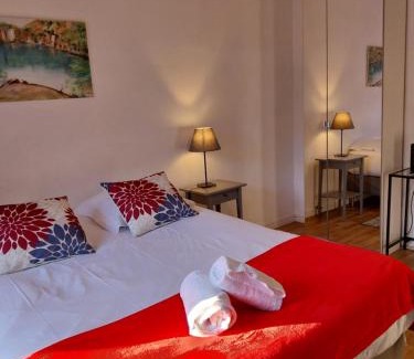 City-Centre - Petite France Apartment | Hypercentre Strasbourg Vue Cathédrale
