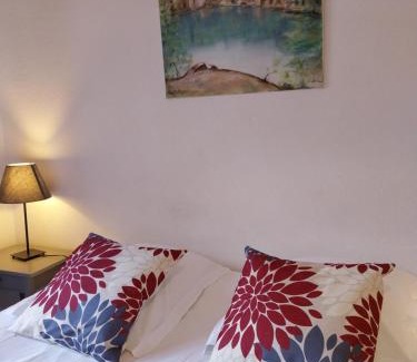 City-Centre - Petite France Apartment | Hypercentre Strasbourg Vue Cathédrale