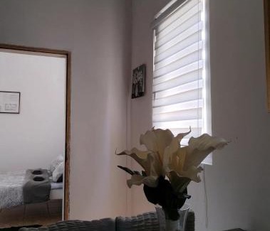 Veliko Gradiste Apartment | Išić apartmani