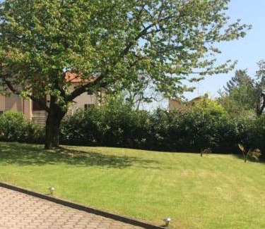 Moncalieri Apartment | I Ciliegi