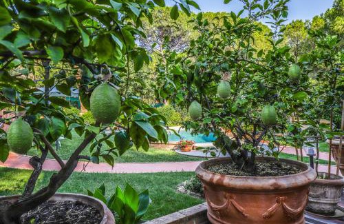 Collepepe House | I Limoni Studios