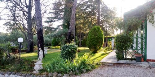 Collesanto House | I Pini House