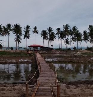 Taling Ngam Resort | I - Talay Taling Ngam Samui - เขา ป่า นา เล ตลิ่งงาม สมุย