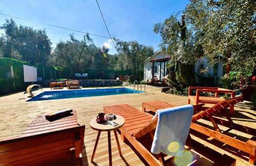 Iznik Other | İZNİK Lake Olive villa