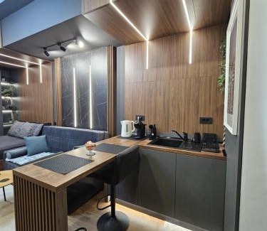 Iasi Apartment | Iasi Business Suite