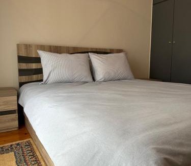 Dispilio Apartment | Iasonidis Guest House