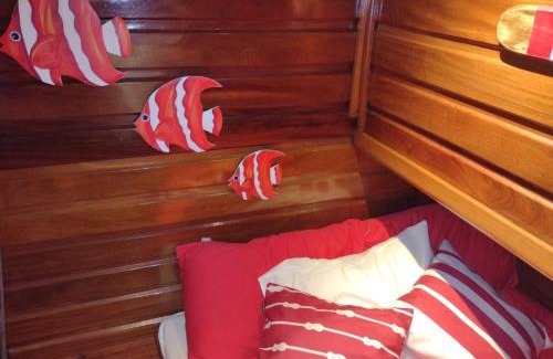 Mambucaba Boat Rental | IBIZA Escuna