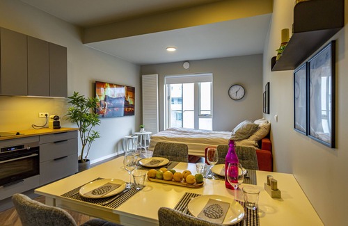 Hliðar Apartment | ICELAND SJF APARTMENTS - 401 Your Downtown Reykjavík Retreat