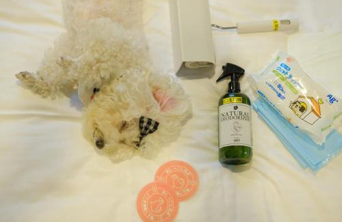 Asakusabashi Hotel | ICI HOTEL Asakusabashi