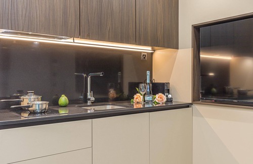 Viganello Apartment | Icon H 303 Suite Micro-living