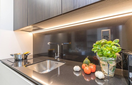 Viganello Apartment | Icon H 503 Suite Micro-living