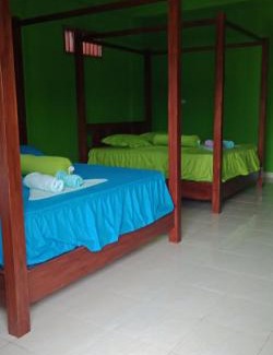 Bukit Lawang House | Ida Guest House & JUNGLE TREKKING
