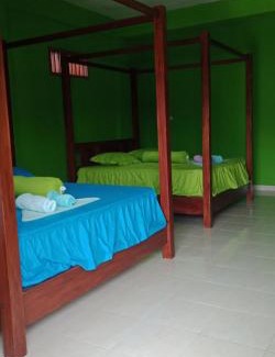 Bukit Lawang House | Ida Guest House & JUNGLE TREKKING