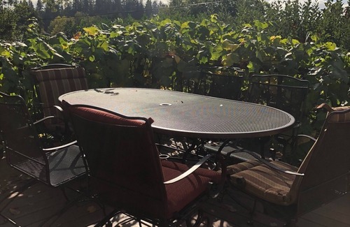 Amazon House | Ideal Location! University Craftsman Home