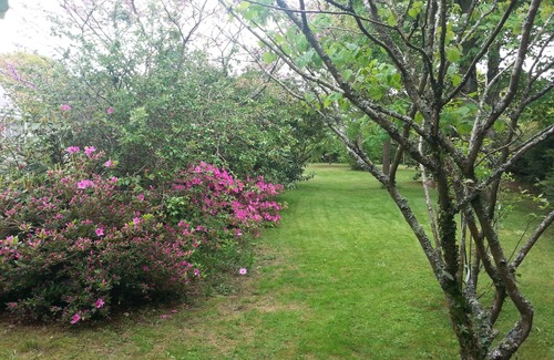 Trebeurden House | Ideal vacation home in a quiet location! On the Pink Granite Coast.