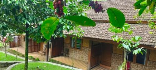 Banyuwangi House | idjen Resto & Guest House