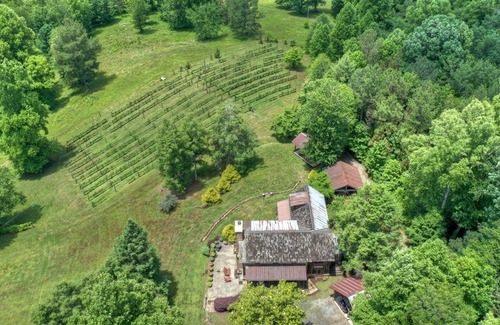 Mineral Bluff House | Idlehour Vineyard - Mineral Bluff