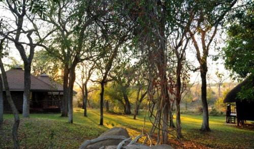 Thorny Bush Game Reserve Cabin | Idube Game Reserve