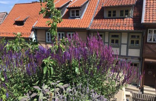 Quedlinburg House | Idyll 23