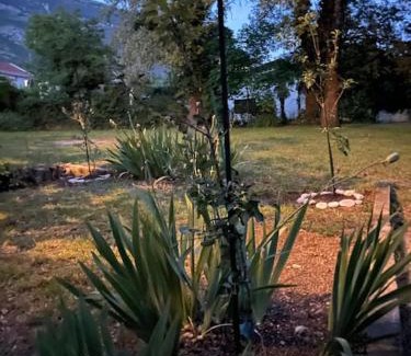 Seoca Apartment | Idylle in der Natur mit Burgblick