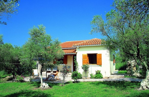 Skafidia House | Idyllic gem, surrounded by olive groves, close to the sea.