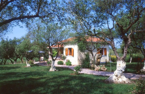 Skafidia House | Idyllic gem, surrounded by olive groves, close to the sea.