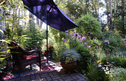 Saanich West House | Idyllic Hideaway for Two .or one!