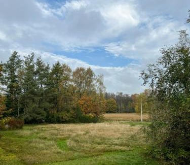 Øksenmølle House | Idyllic Holiday Home With Forest View