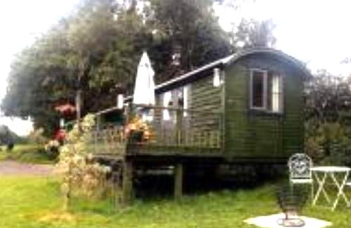 Hadlow Down House | Idyllic Shepherds Hut glorious views to South Downs 'Perch'