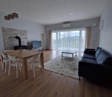 Druskininkai Apartment | IG House